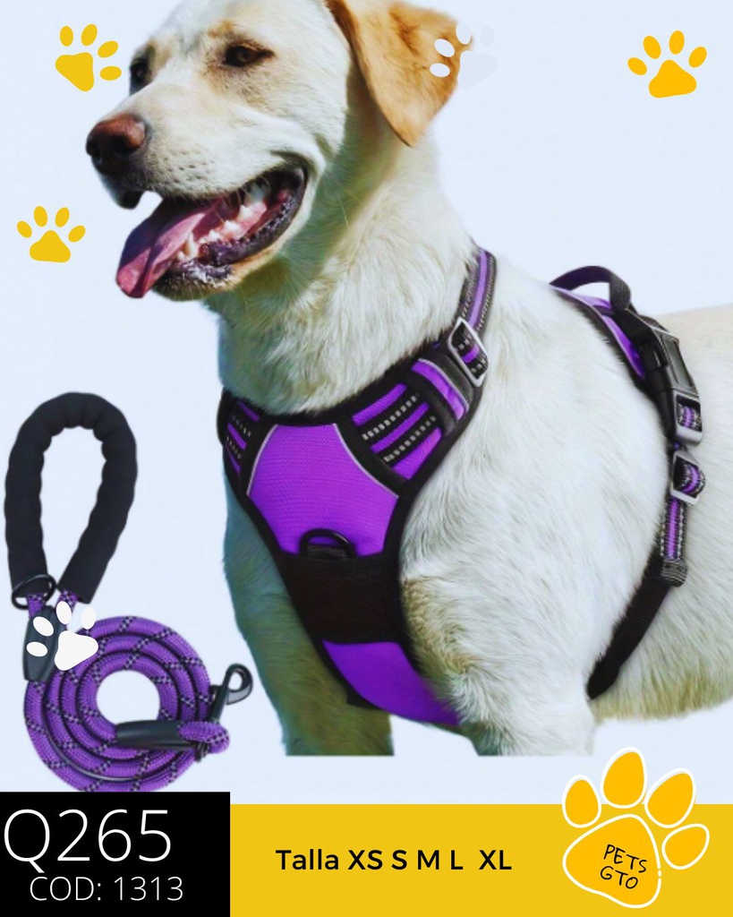 Arnes Para Perros Sin Tirar, Sin Ahogamiento